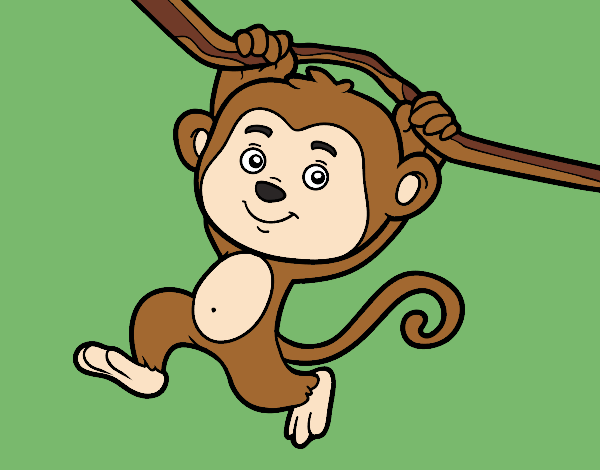 Pin em Desenho de macaco
