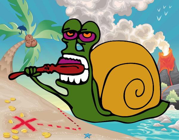 Caracol limpo