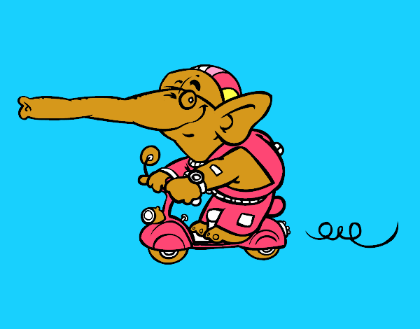 Elefante numa moto
