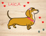 Desenho Cão dachshund pintado por Emillie