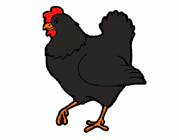 Desenho de galinha