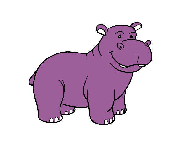 Um hipopótamo Africano