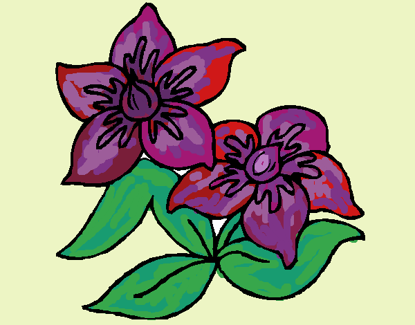 Desenho Flores 3 pintado por ceciliaz