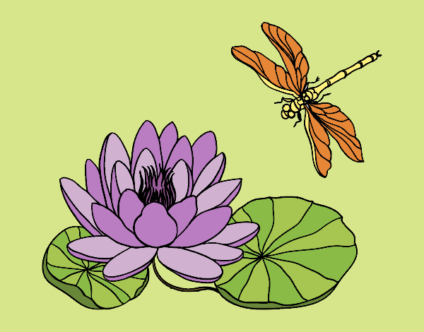 Desenho Flor de lotus pintado por Fernanda21