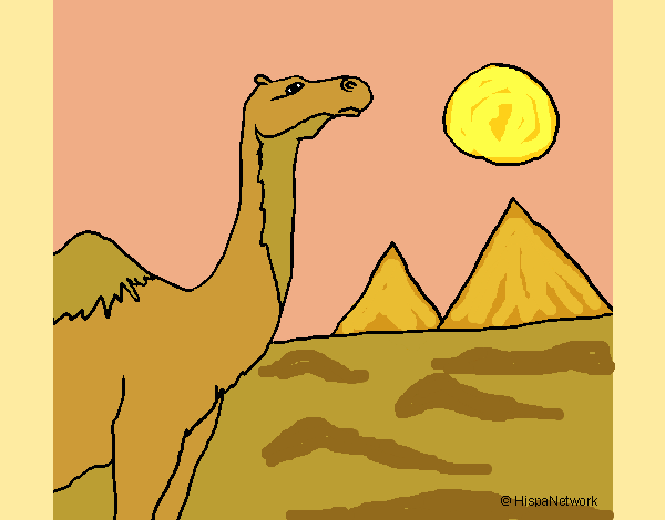 Desenho Camelo pintado por ceciliaz