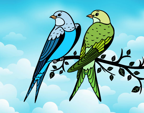 Desenho Par de pássaros pintado por Craudia