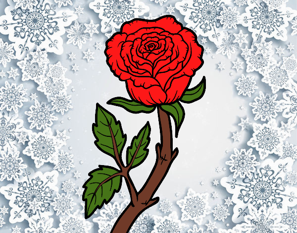 Desenho Rosa selvagem pintado por Juliaespin