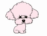 Desenho Cachorro de poodle pintado por rosalina