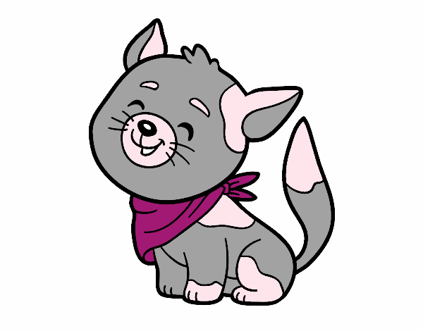 Desenho Gato com bandana pintado por Humano