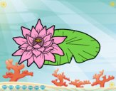 Desenho Uma flor de lotus pintado por EmilyLuisa