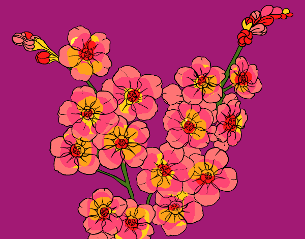 Desenho Flor de cerejeira pintado por ceciliaz