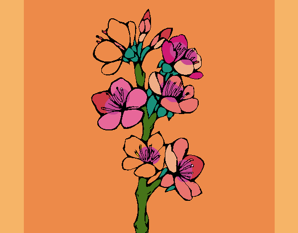 Desenho Flores de campo pintado por ceciliaz