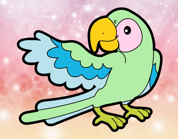 Desenho Papagaio abrir a asa pintado por Bianca99