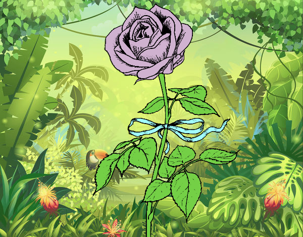 Desenho Uma rosa pintado por Bianca99
