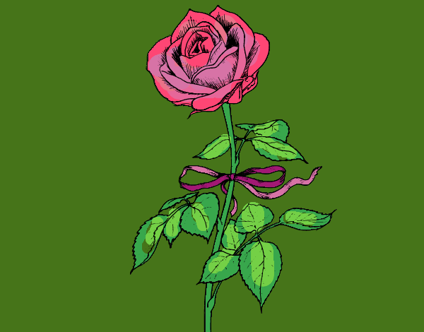 Desenho Uma rosa pintado por ceciliaz