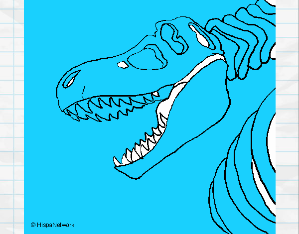 Esqueleto tiranossauro rex