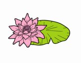 Desenho Uma flor de lotus pintado por rosalina