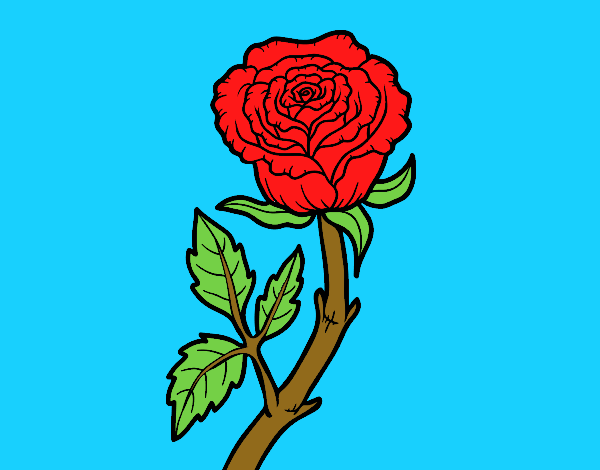  A rosa vermelha 