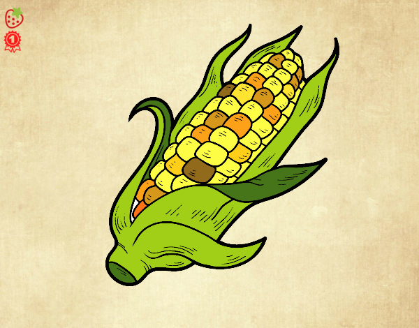 Desenho Um sabugo de milho pintado por Gabi_OPO