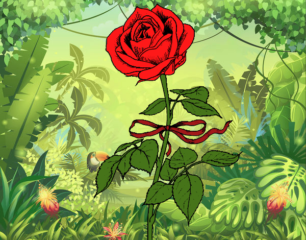 Uma rosa