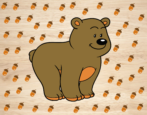 Desenho Urso simpático pintado por Bianca99