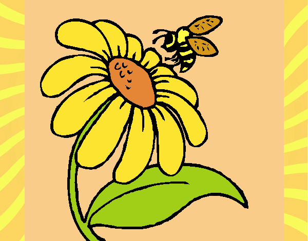 Desenho Margarida com abelha pintado por Sillvana