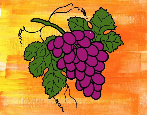 Desenho Cacho de uvas pintado por Craudia