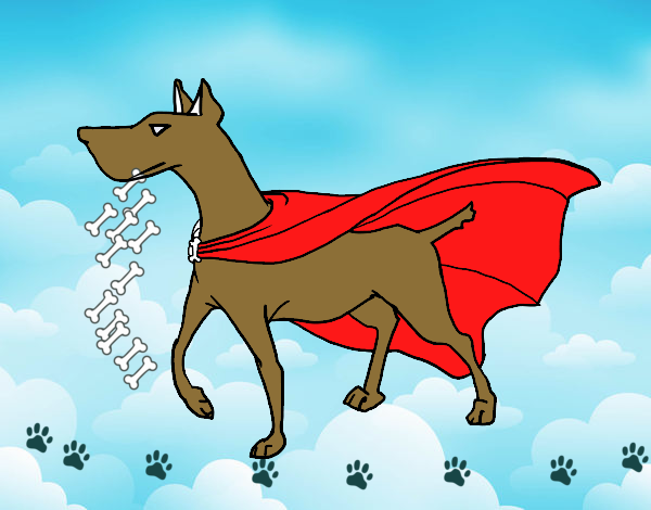 Desenho Cão super-herói pintado por naildja
