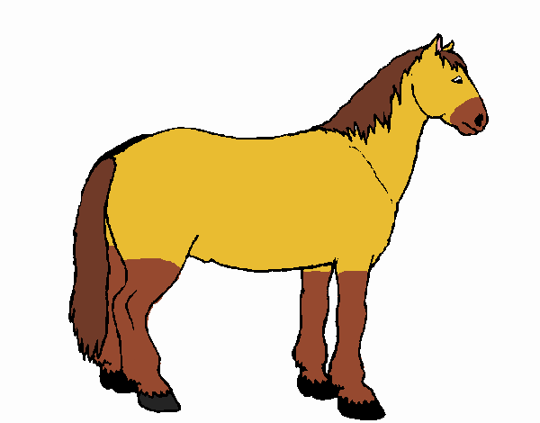 Como desenhar um cavalo selvagem 