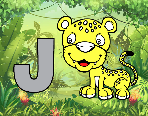 j *jota*de jaguar
