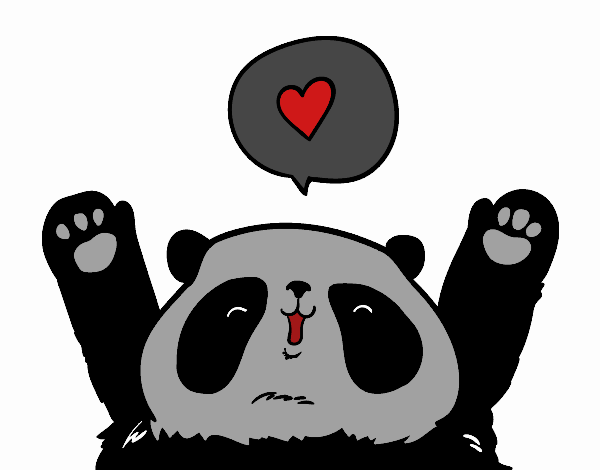 Panda amor
