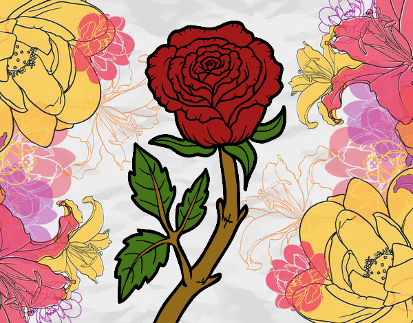 Desenho Rosa selvagem pintado por andressala