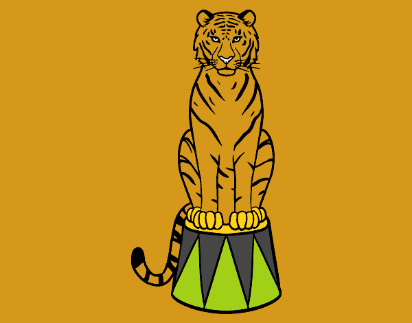 Desenho Tigre do circo pintado por IsabelDiva
