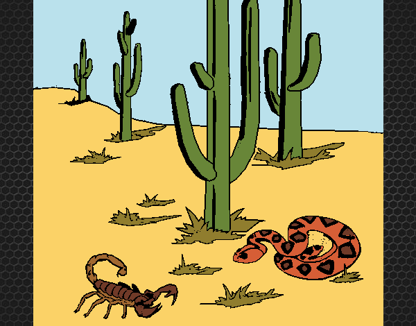 Desenho Deserto  pintado por Craudia