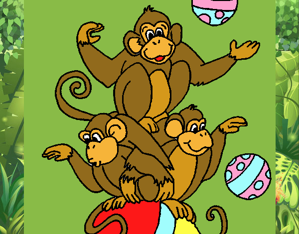 Desenho Macacos a fazer malabarismos pintado por Billa
