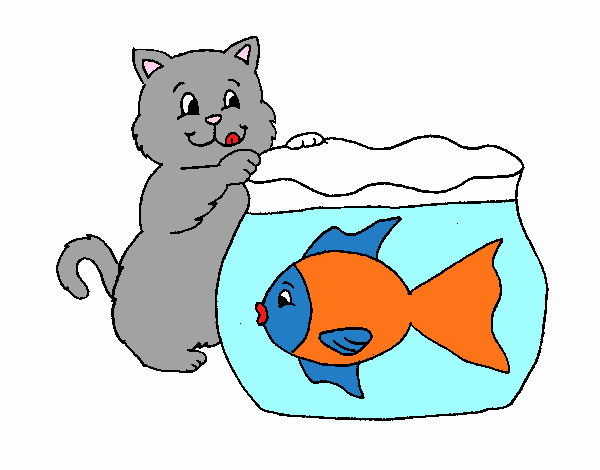 Desenho de Gato a olhar para o peixe para Colorir - Colorir.com
