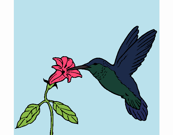 Desenho Colibri e uma flor pintado por Craudia