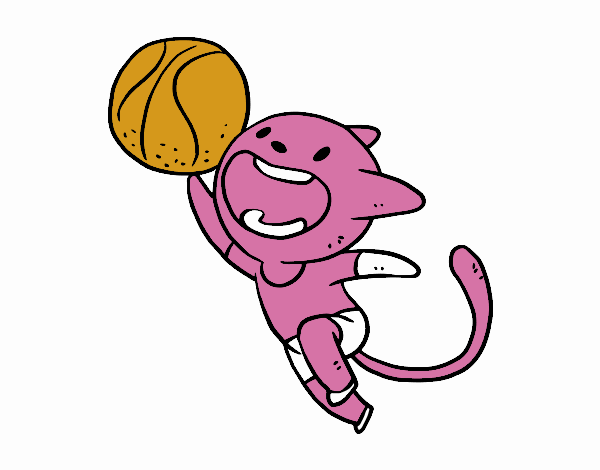 Gato basquete