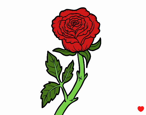 Desenho Rosa selvagem pintado por luzinda