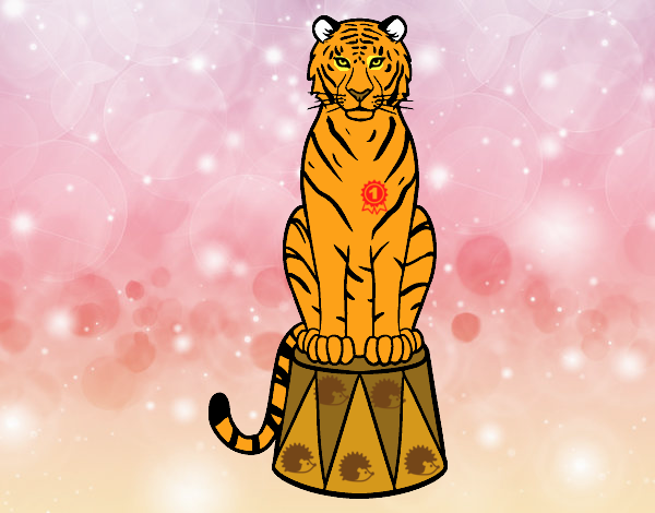Desenho Tigre do circo pintado por luanah 