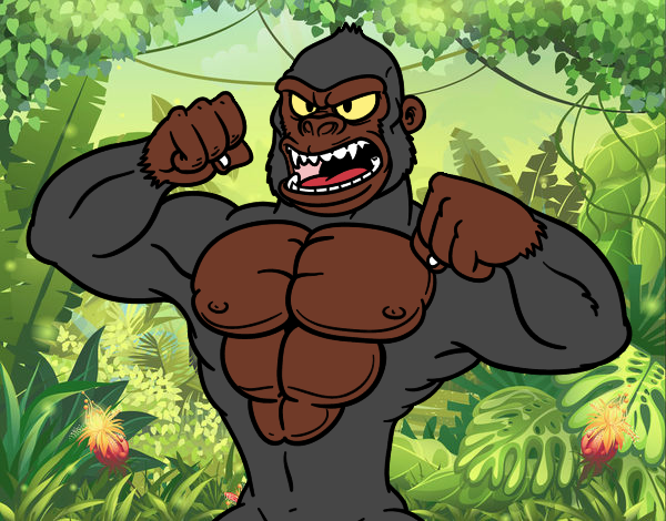 Gorila forte