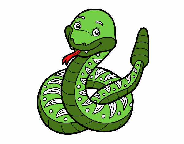 Desenho de Serpente cascavel para Colorir - Colorir.com