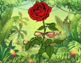 Desenho Uma rosa pintado por Luh22