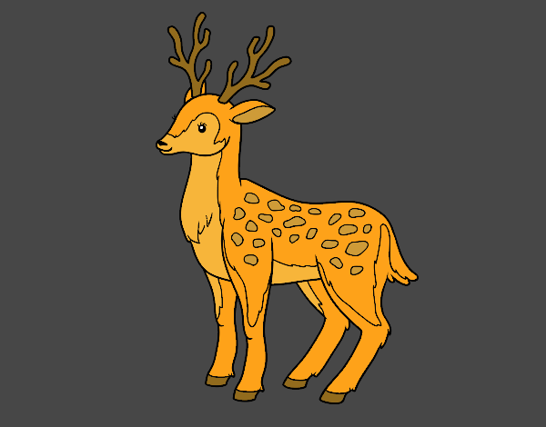Desenho Un cervo novo pintado por corucano
