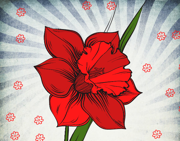 Desenho Flor de narciso pintado por ANALUMA 