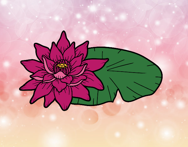 Desenho Uma flor de lotus pintado por LadySun