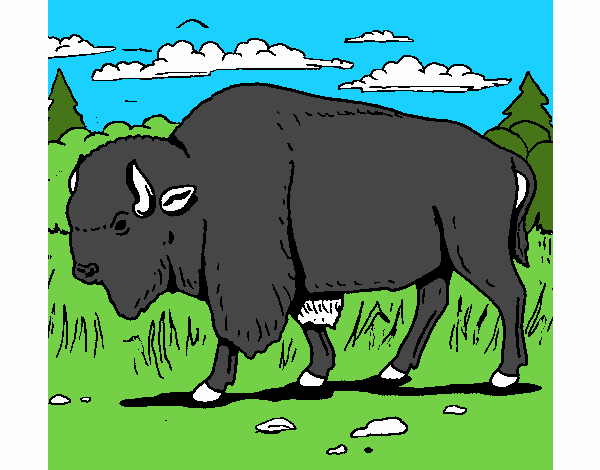 Desenho Búfalo pintado por TUTHU