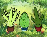 Desenho Mini cactus pintado por lohmann