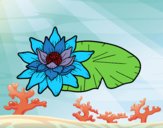 Desenho Uma flor de lotus pintado por lohmann
