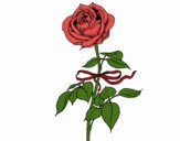 Desenho Uma rosa pintado por lohmann
